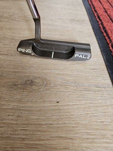 Ping pal berrylium copper - 2,