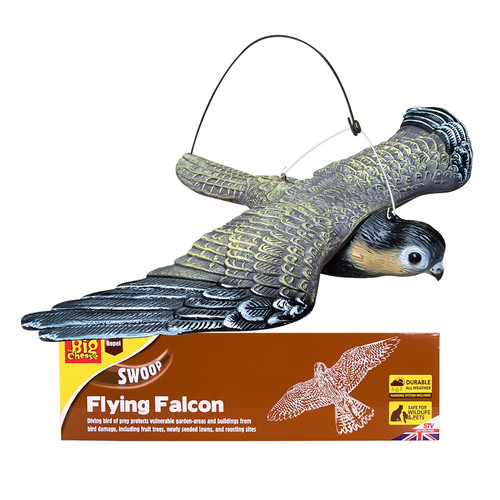 The big cheese flying falcon - cheese,
