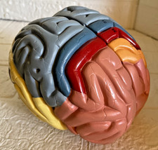 Teaching Model of Colorful