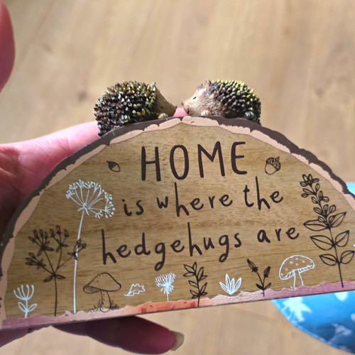 Home where the - is,