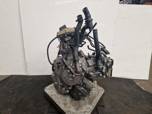 Ducati desertx 900 engine - ducati, 2023