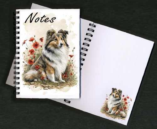 Shetland sheepdog sheltie - sheepdog, /