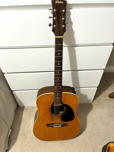 Maton pity ltd - pity, 1974