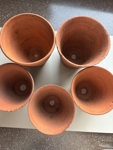 Five vintage sankey plant - five,
