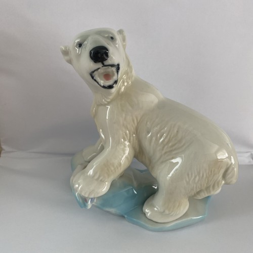 Wade polar bear with - with, on