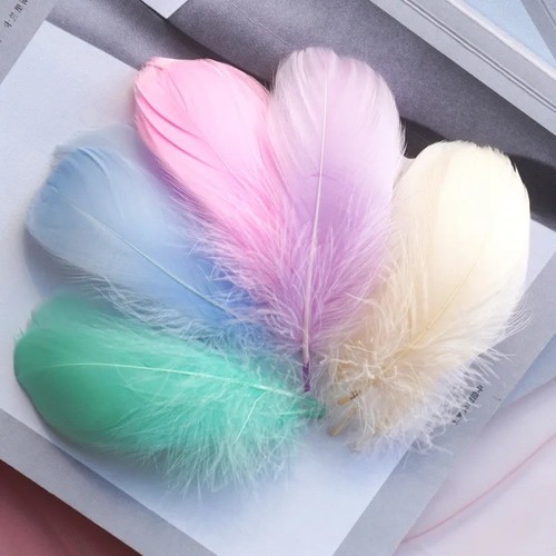 100 solid coloured - feathers,