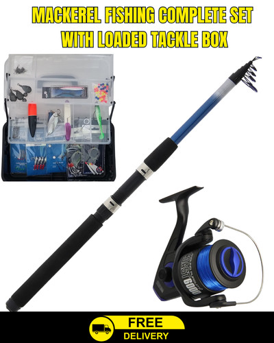 10ft telescopic sea fishing - 10ft,