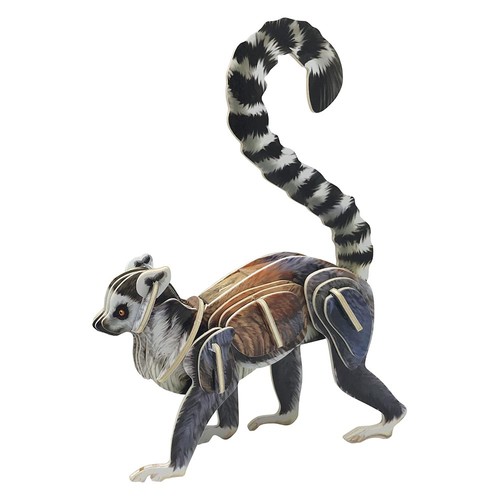 Toyway ring tailed - toyway, 3d