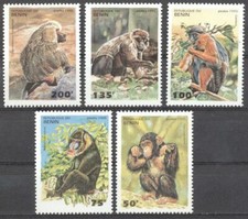 (178530) Monkeys, Chimp, Benin