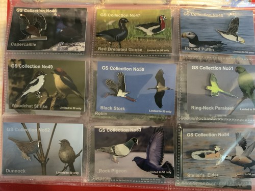 None rspb badges pin - 9,