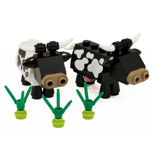 Cows farm animals black - |,