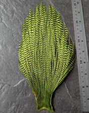 Fl Chartreuse Grizzle Cock