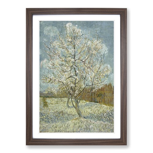 The pink peach - pink, vincent
