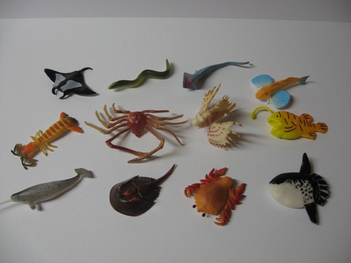 Sea creatures marine animals - creatures,