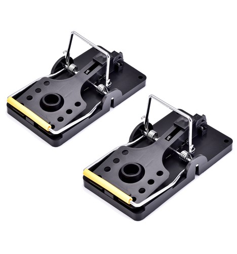 Mouse traps spring snap - traps,