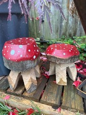 Two mushroom toadstools fairy