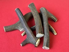 One Piece of Natural Deer Antlers Size M. BUY THREE GET ONE FREE !