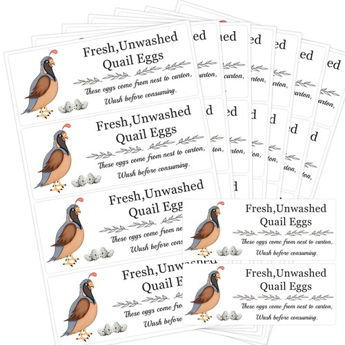 Unwashed quail egg carton - egg,