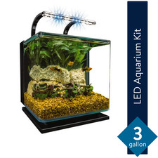 3 Gallon Aquarium Kit, Glass