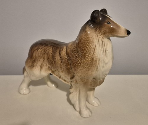 Rough coated collie lassie dog - rough,
