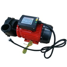 Canadian Spa WP300-LX-3HP-Dual-Speed-Pump-Hot-Tub-Pump