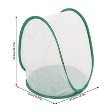 Insect Mesh Cage Observation