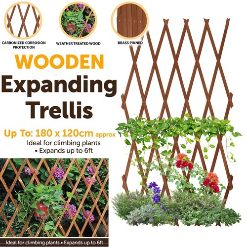 Expanding wooden brown - 🔥expanding,