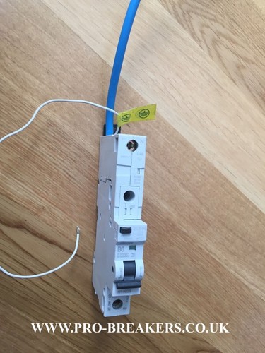 Mem amp type - type, 6a