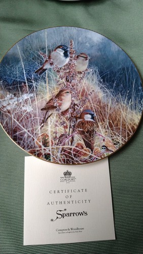 Sparrows coalport bird - coalport,