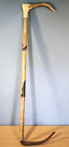 Antique bamboo riding - bamboo, crop