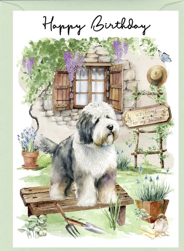 Old english sheepdog - old, 6")