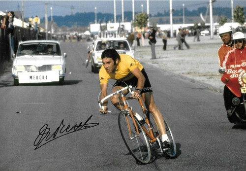 Eddy merckx cycling - merckx,