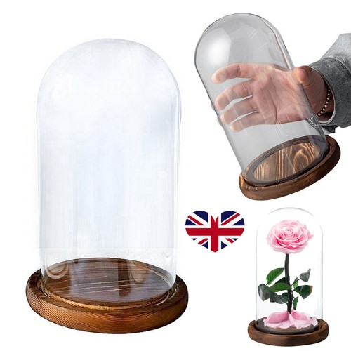 Glass display cloche bell jar - bell,