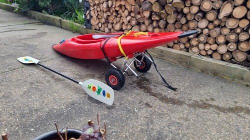 Kayak paddle puranha - puranha, with