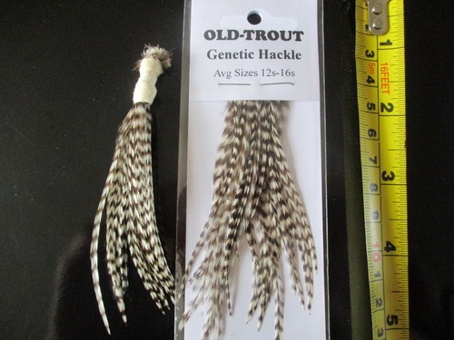 Genetic hackle cock - cock, neck