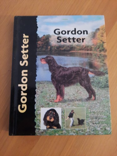 Gordon setter pet - setter, love