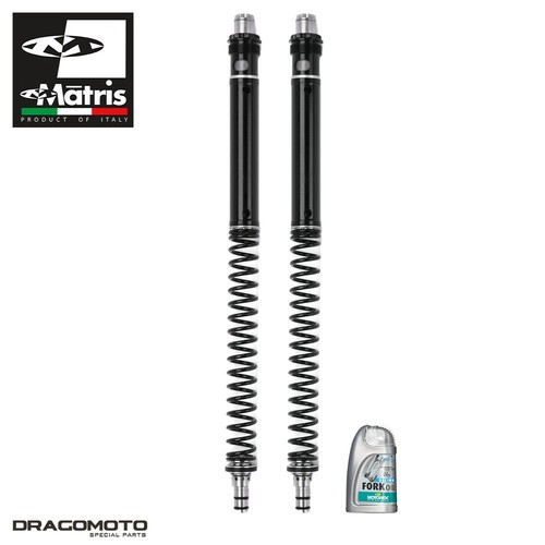 Fork kit suzuki rgv - fork, 250