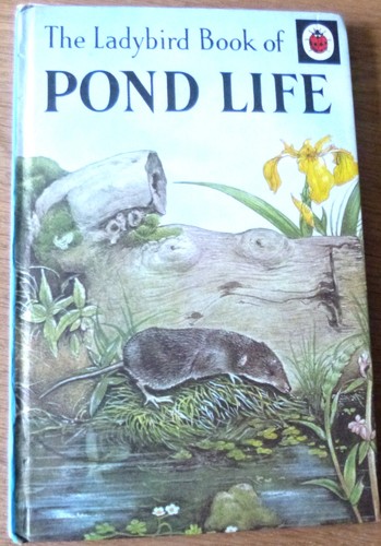 Ladybird book pond - book, _