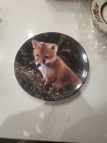 Fox royal doulton ready - doulton, to