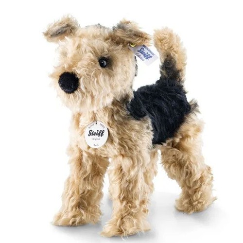 Terri welsh terrier ean - terri,