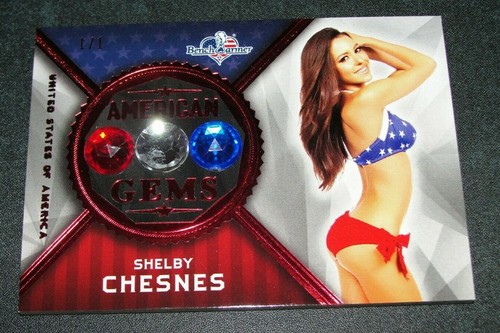 2017 benchwarmer shelby - 2017,