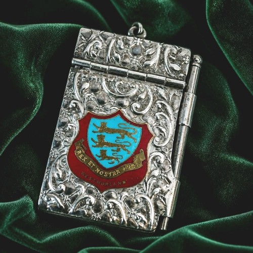 Aide memiore silver plated - silver,