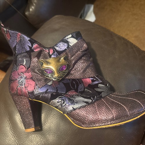 Irregular choice miaow - miaow, purple