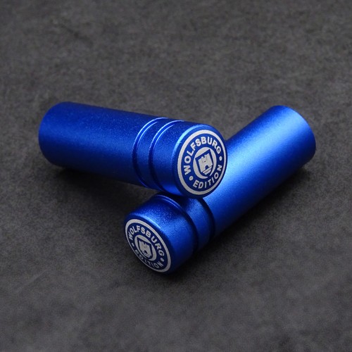 Transporter blue wolfsburg - vw,