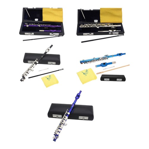 Piccolo key with hard case - with,