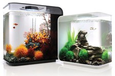 biOrb Flow Aquarium - White /