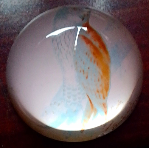 Glass paperweight bird - , of