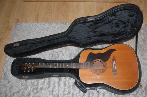 Eko ranger acoustic guitar - ranger,