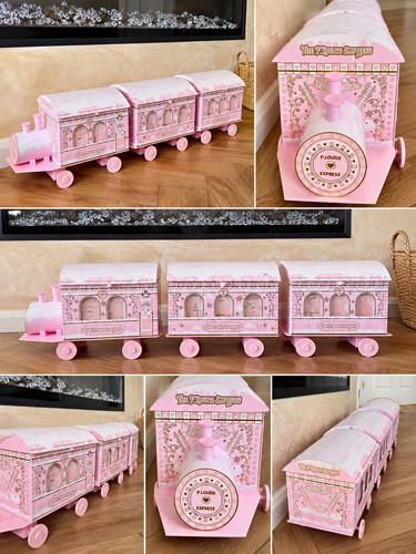 Louise express make case - express, make-up