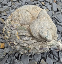 Latex Mould Mold  Large